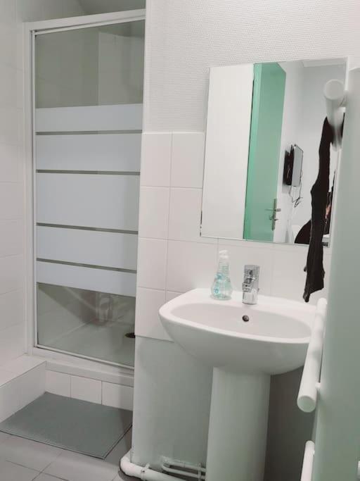 Appartement Proche Disneyland Parc Asterix "Appart'4" 피에르피트 쉬르 센 외부 사진